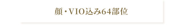 顔・VIO込み64部位